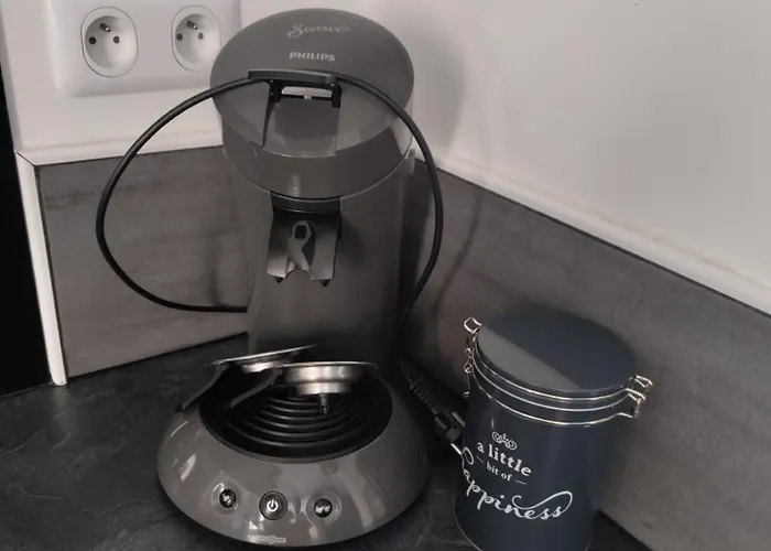 Les Hirondelles Arrest